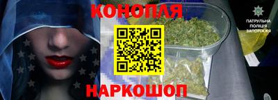 apvp Можга