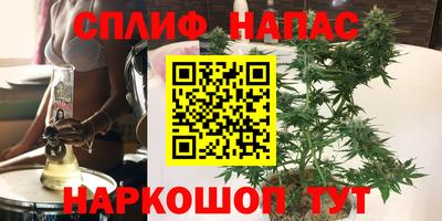 apvp Можга