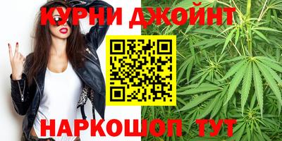 apvp Можга